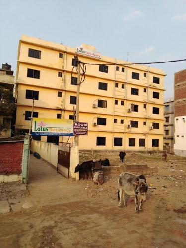 Lotus Residency Hotell Bodh Gaya Eksteriør bilde